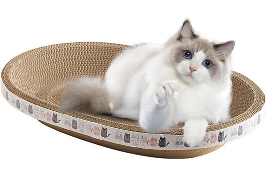 Durable corrugated cat scratcher bowl by Pure Ego featuring a premium scratch pad for cats with no mess shedding.