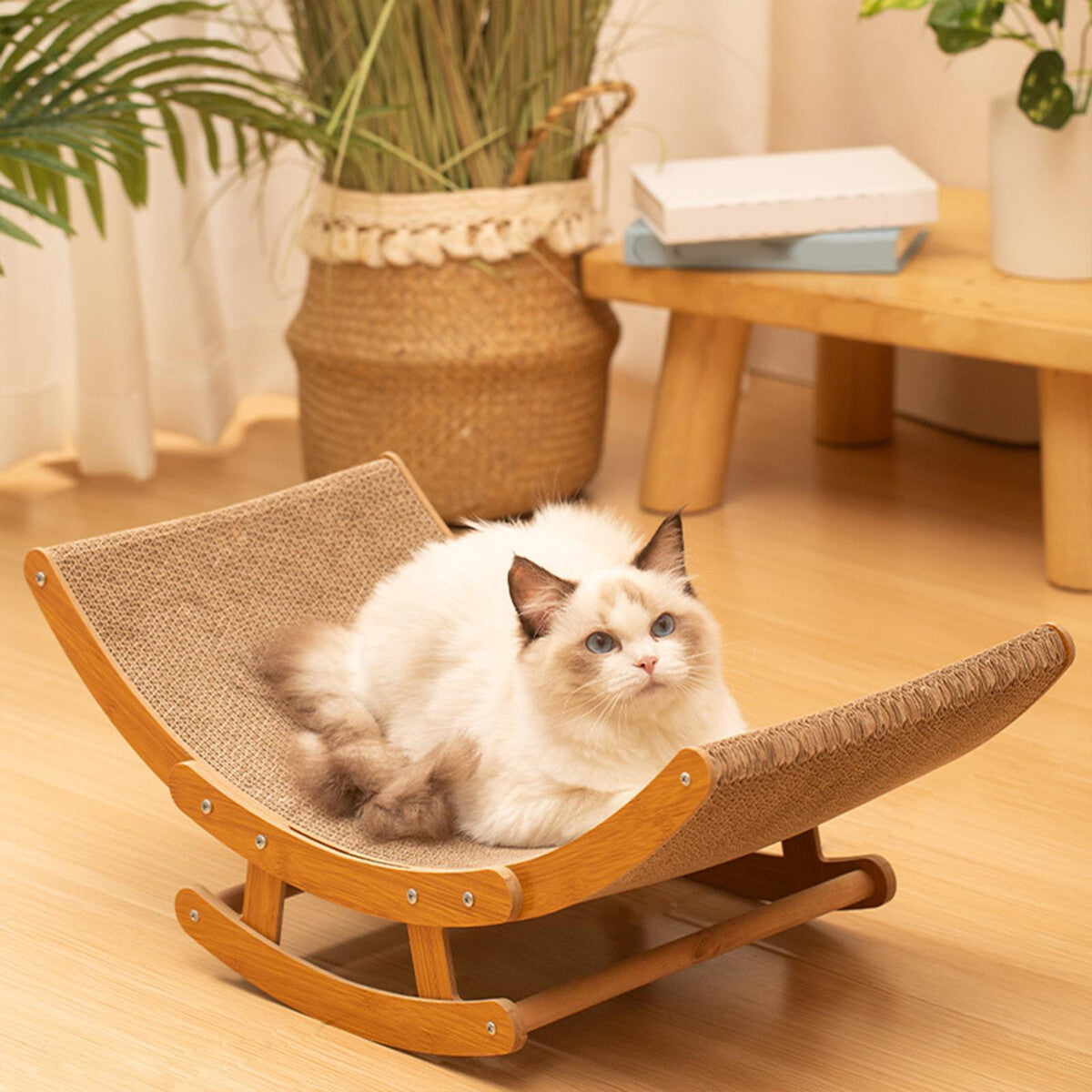 Pure Ego durable cat scratching board shaker bed with corrugated paper, suitable for all seasons, designed for feline entertainment.