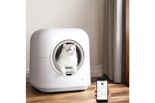 Pure Ego automatic cat litter box with self-cleaning and app control, large size, featuring a sleek design and open entrance for cats.